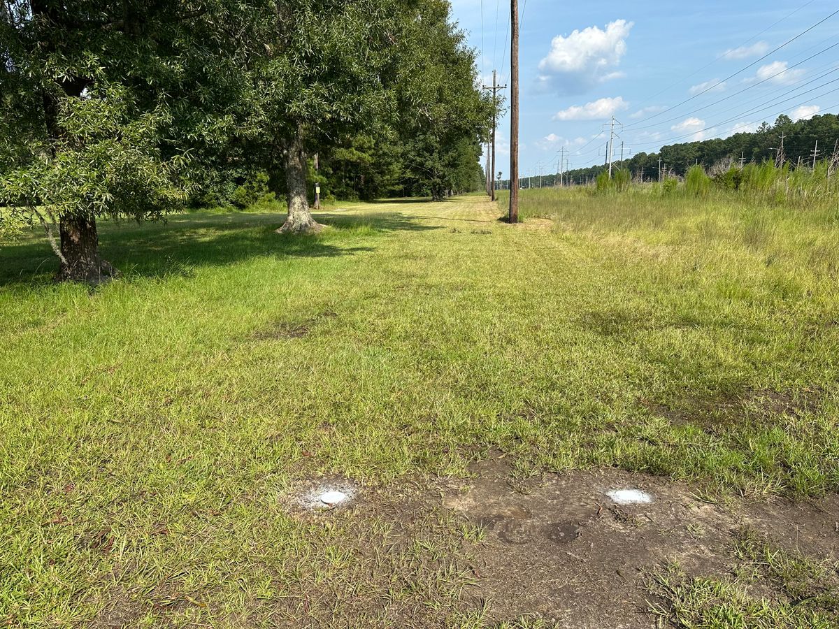Hole 7 Long Tee