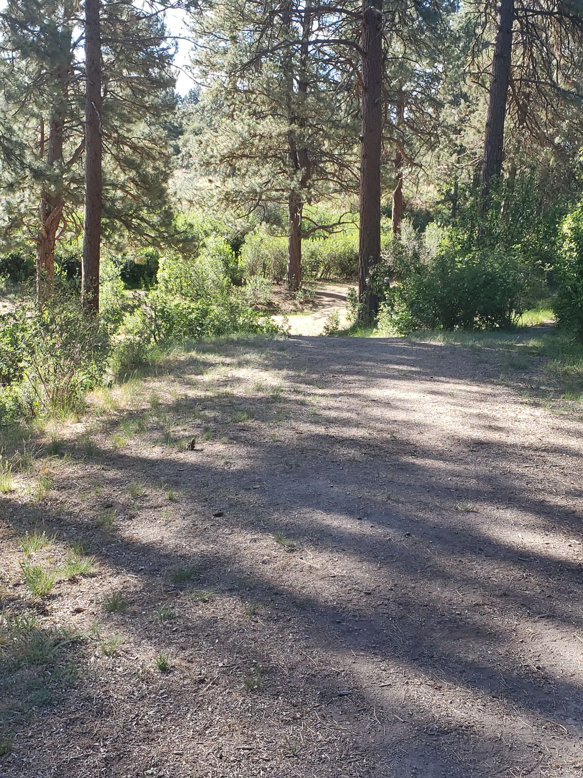 Hole 1