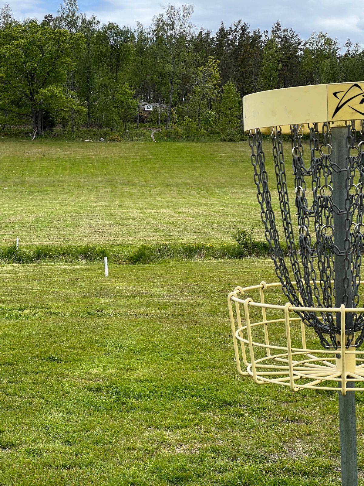 Hole 10 basket