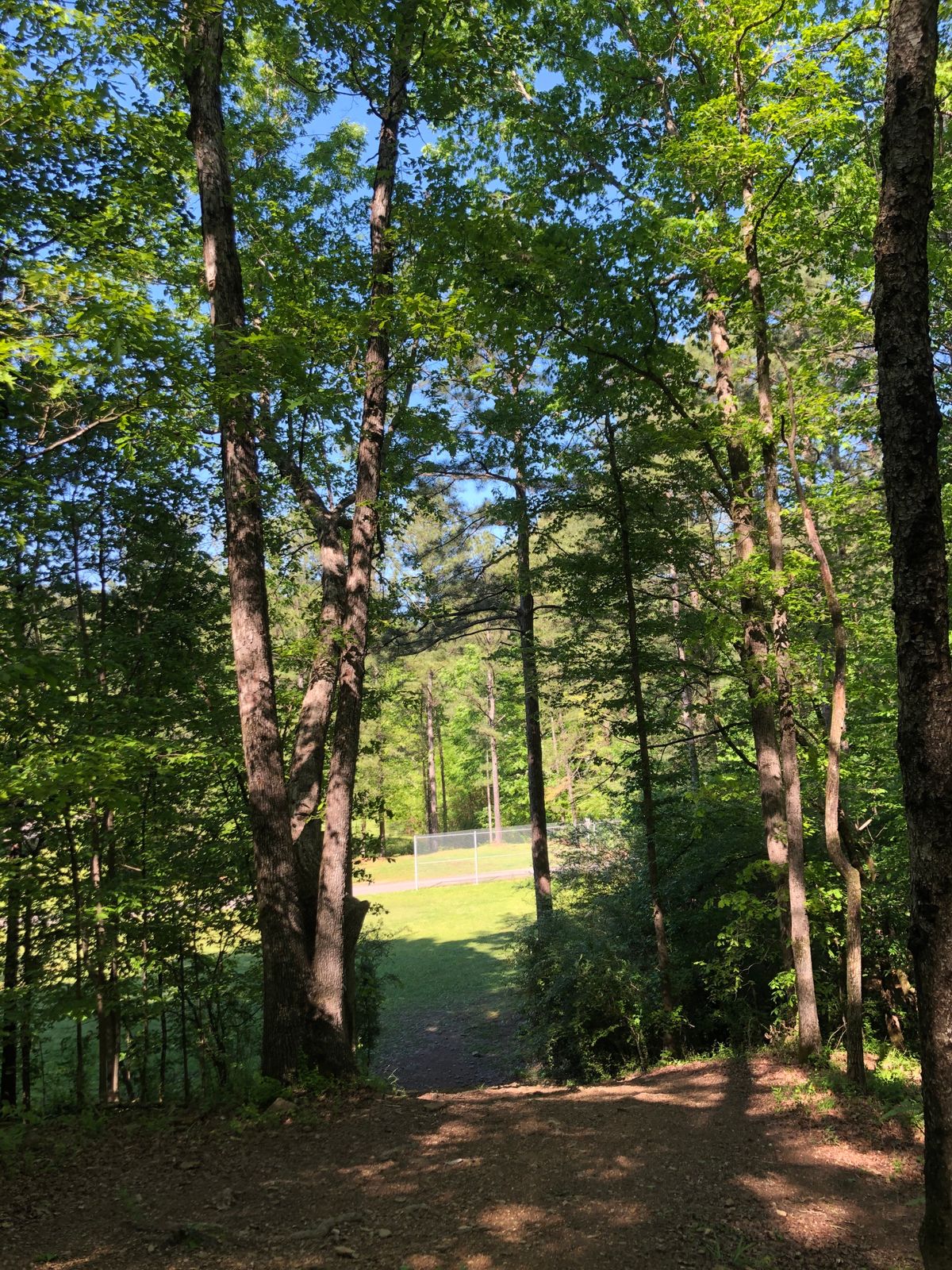Hole 5