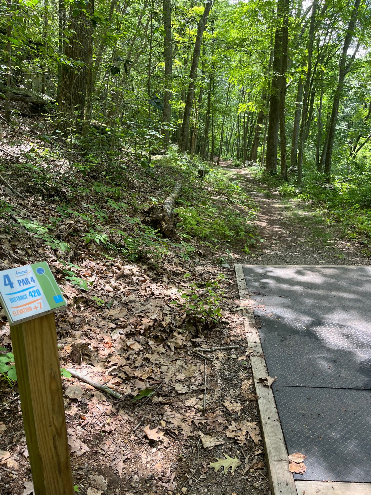 Hole 4