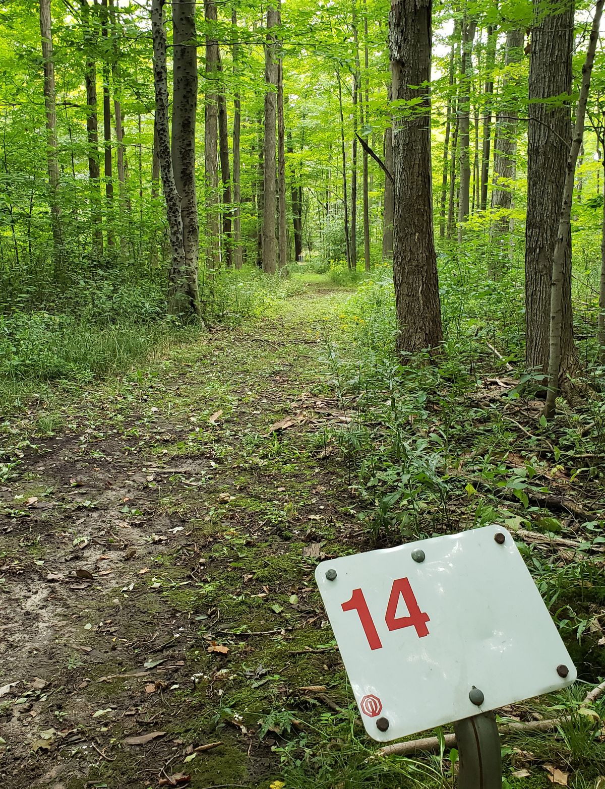 Red Tee Hole 14