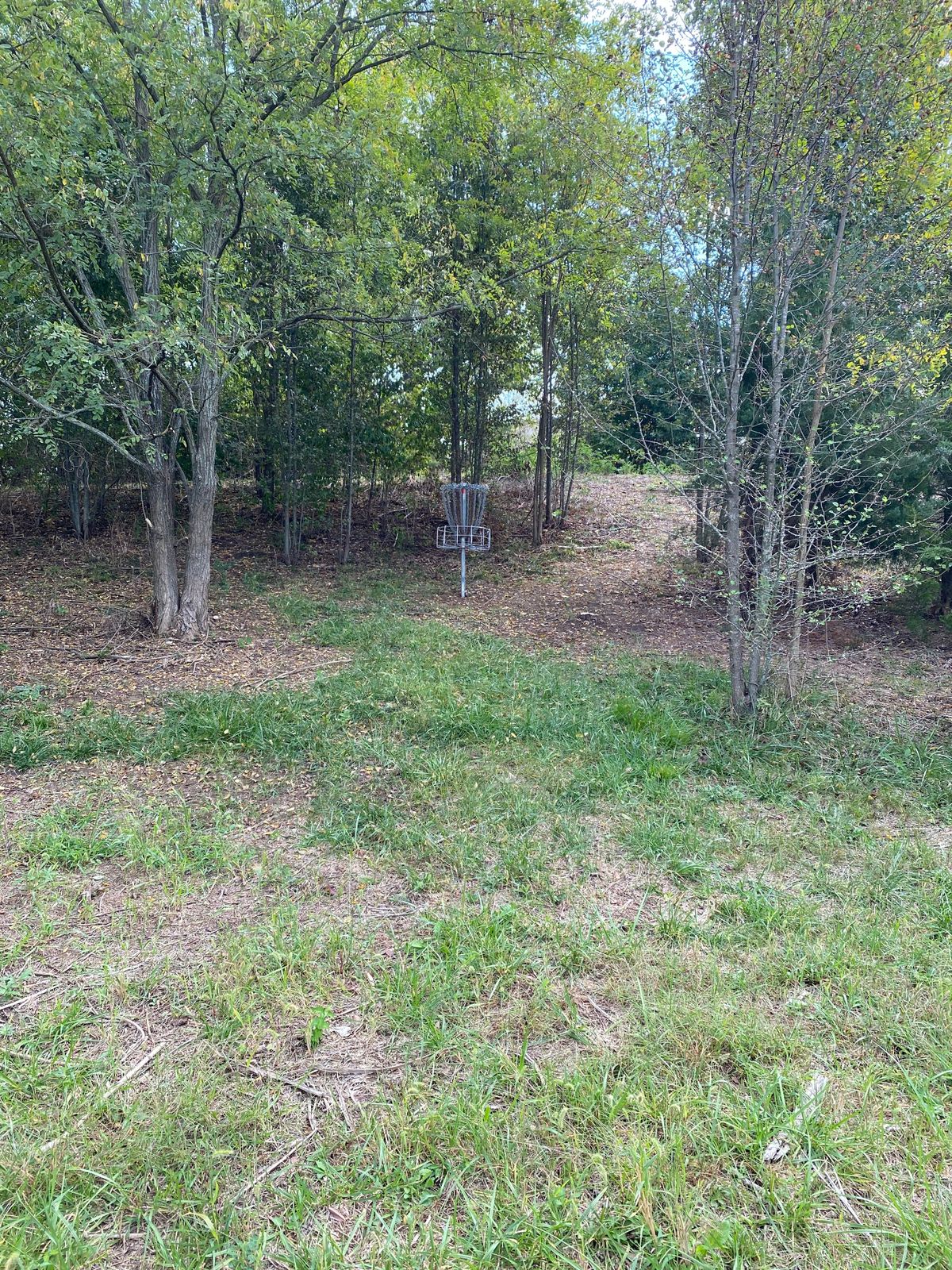 Hole 10 basket