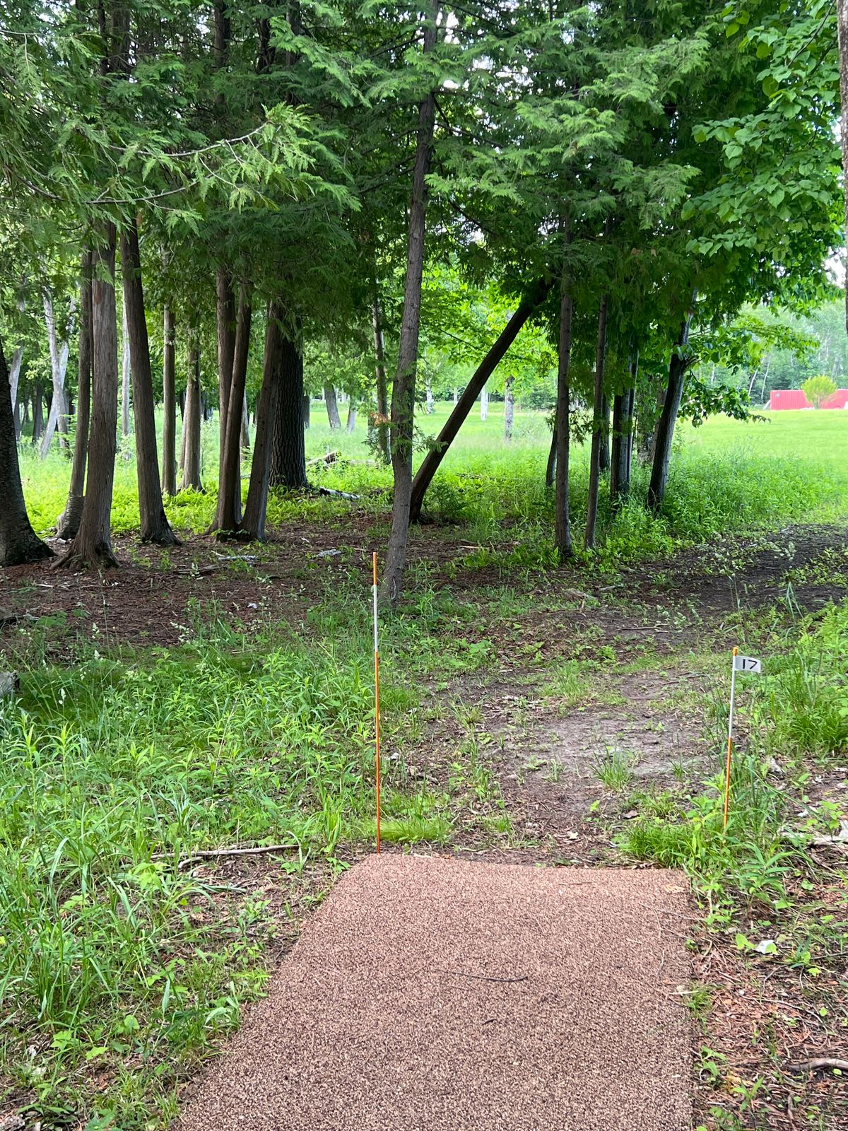 Tee pad 17 - no Mando, basket is in the opening