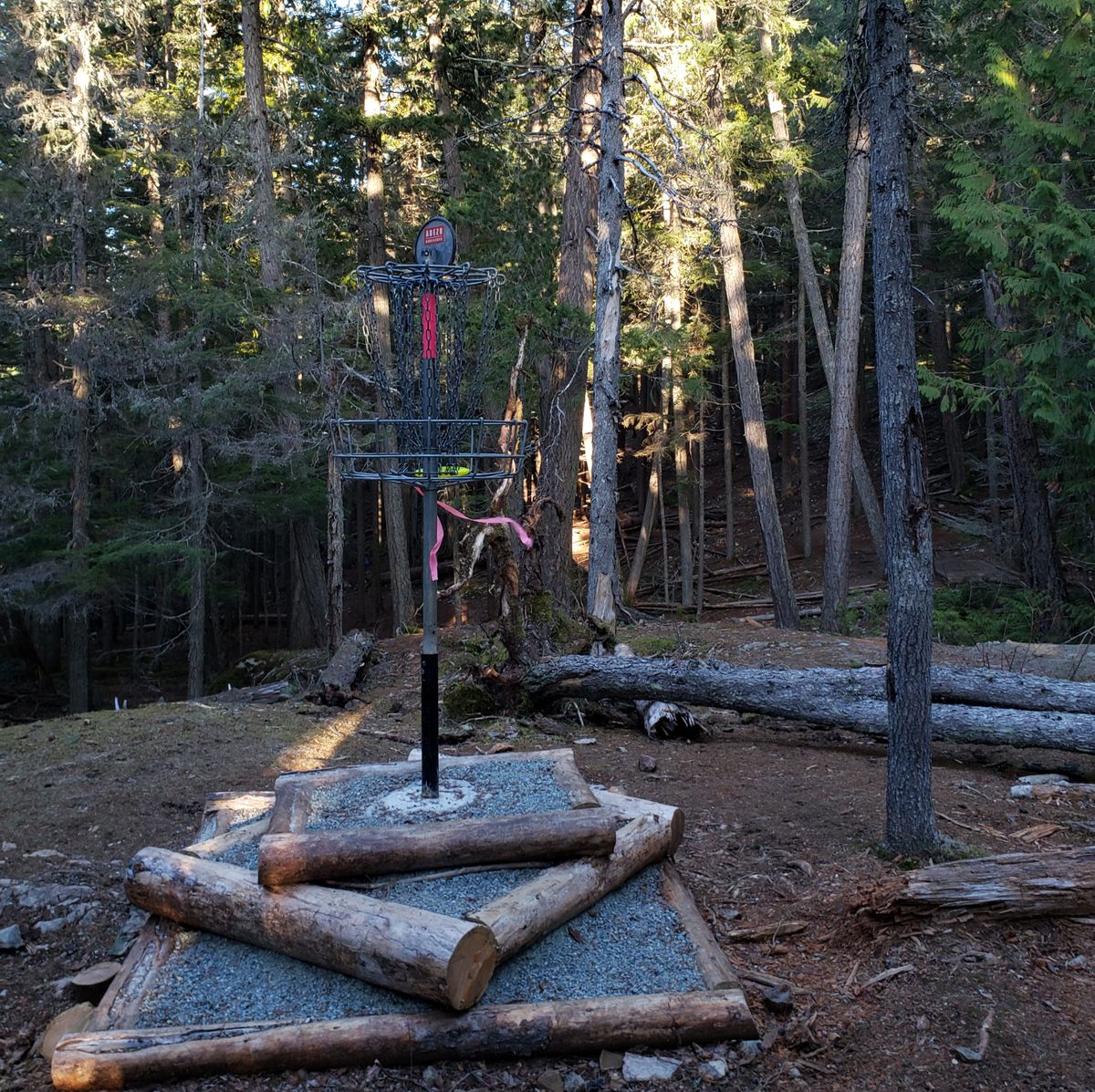 New raised basket location on hole 12.