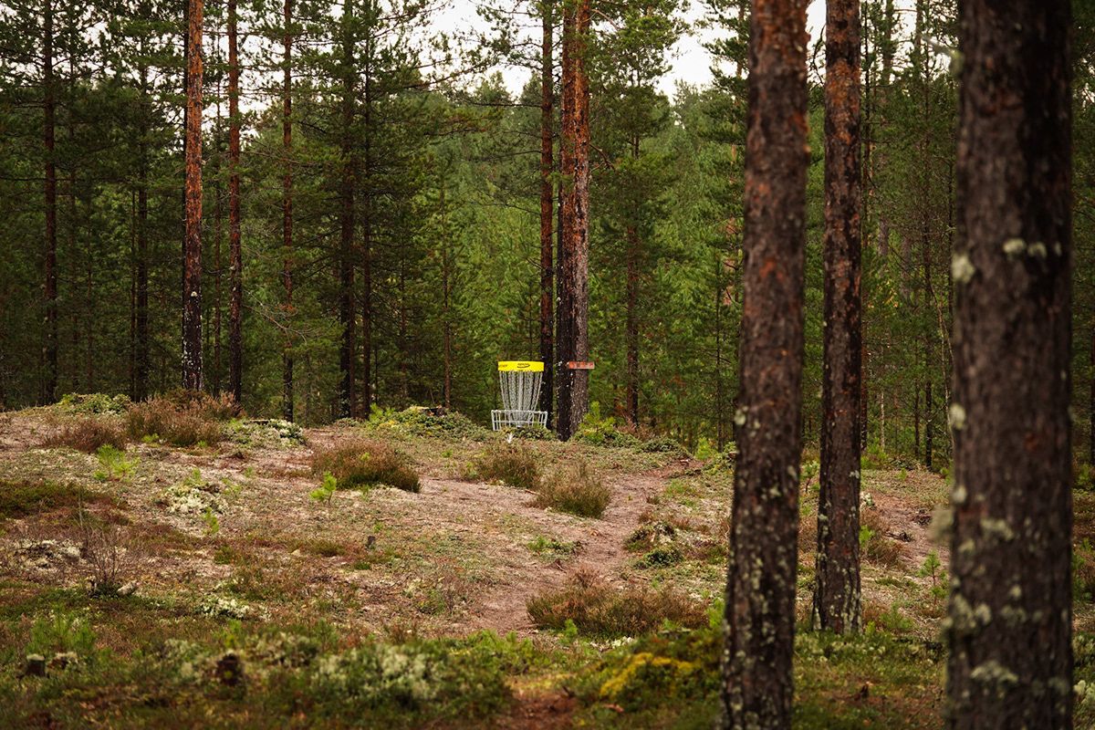 Basket hole 12