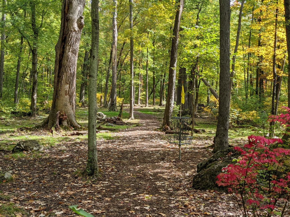 Hole 15
