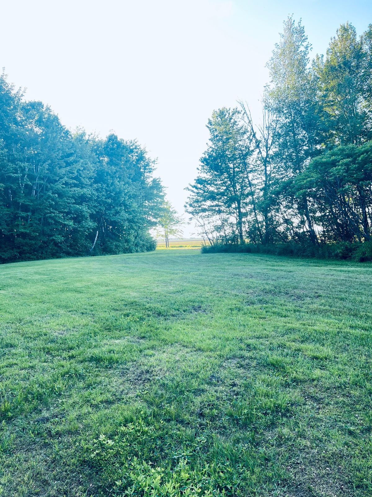 View of 2nd shot on hole #8 of the Prodigy course.