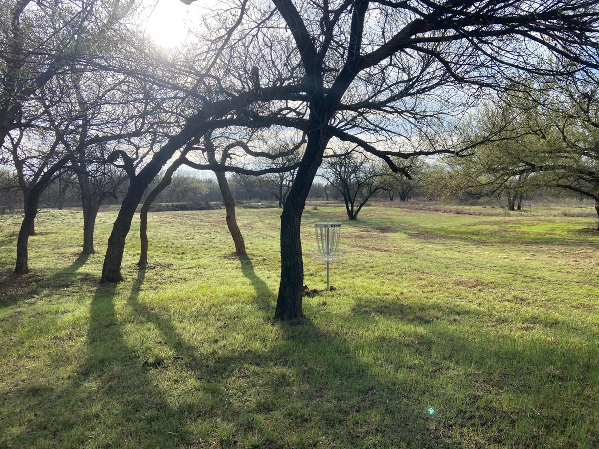 #5 green