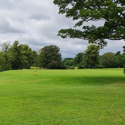 Freshly mowed, looks great!