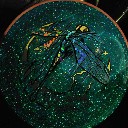 User avatar image