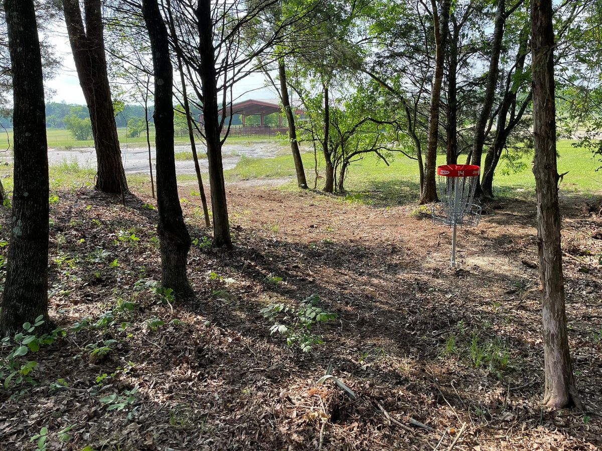 Hole 14 Green