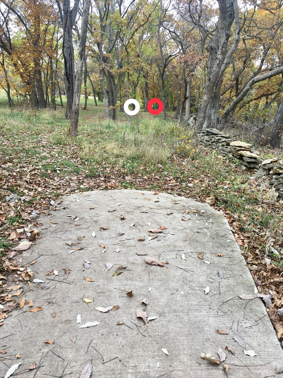 Hole 4 Tee