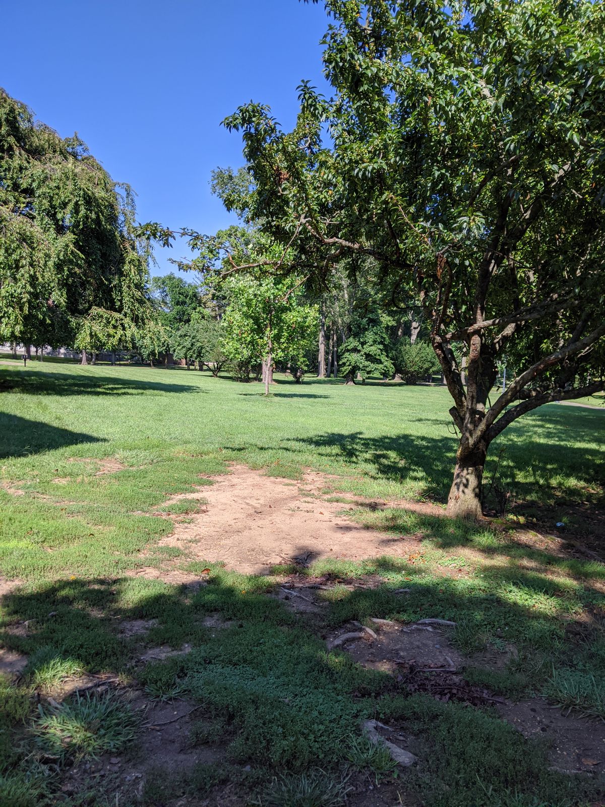 Hole 2 fairway