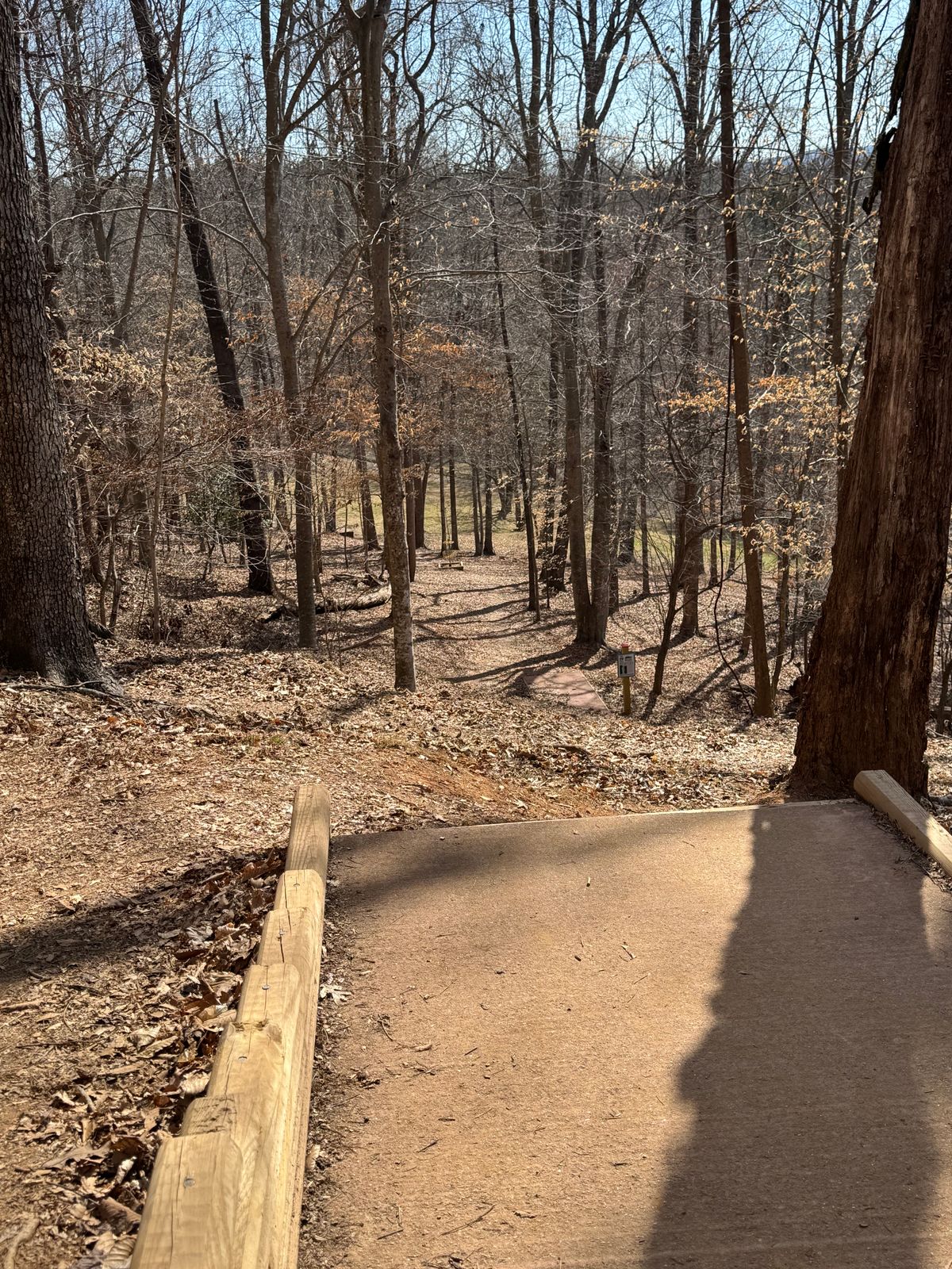 Hole 19, white tee