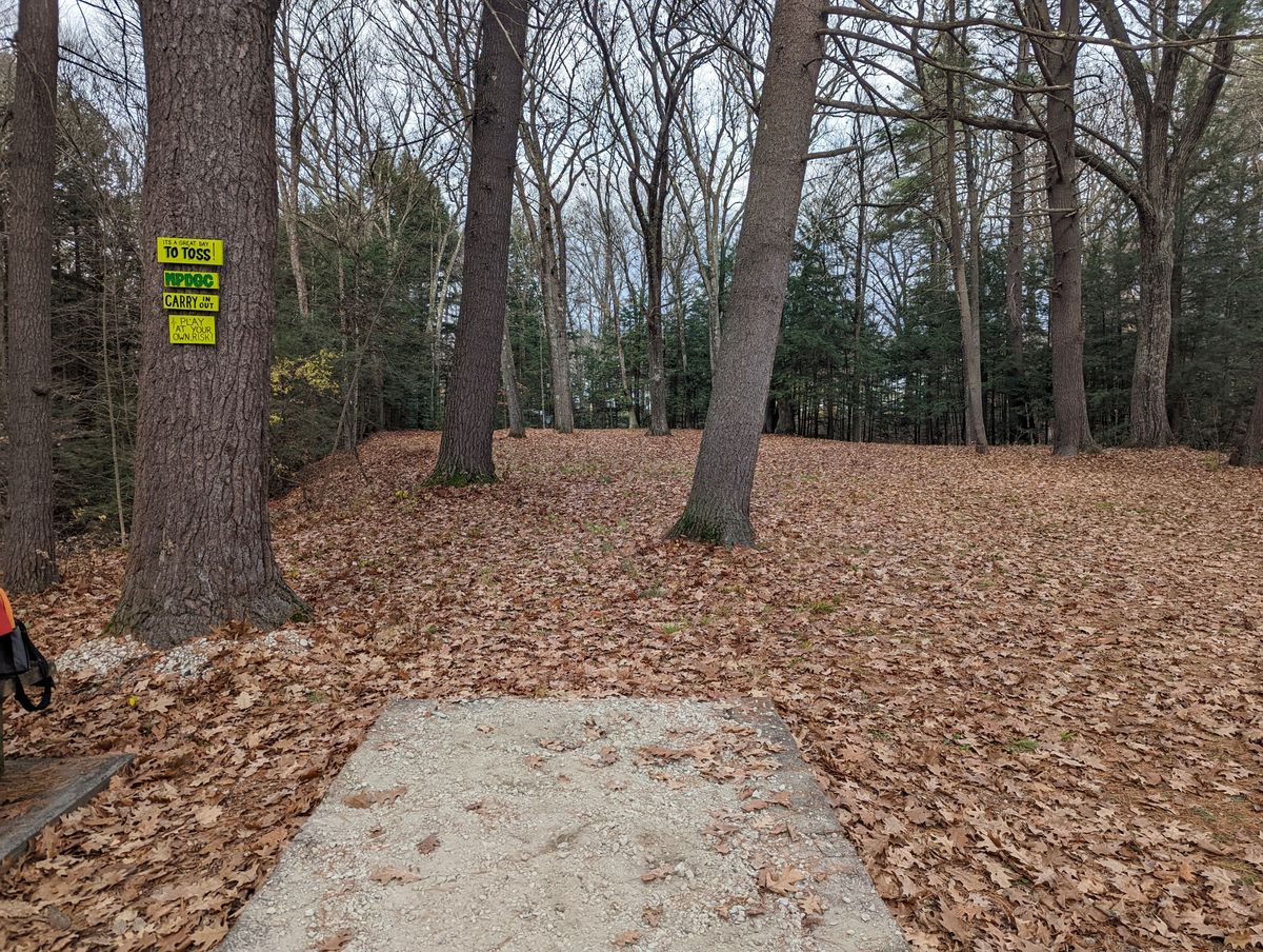 Tee pad for 1