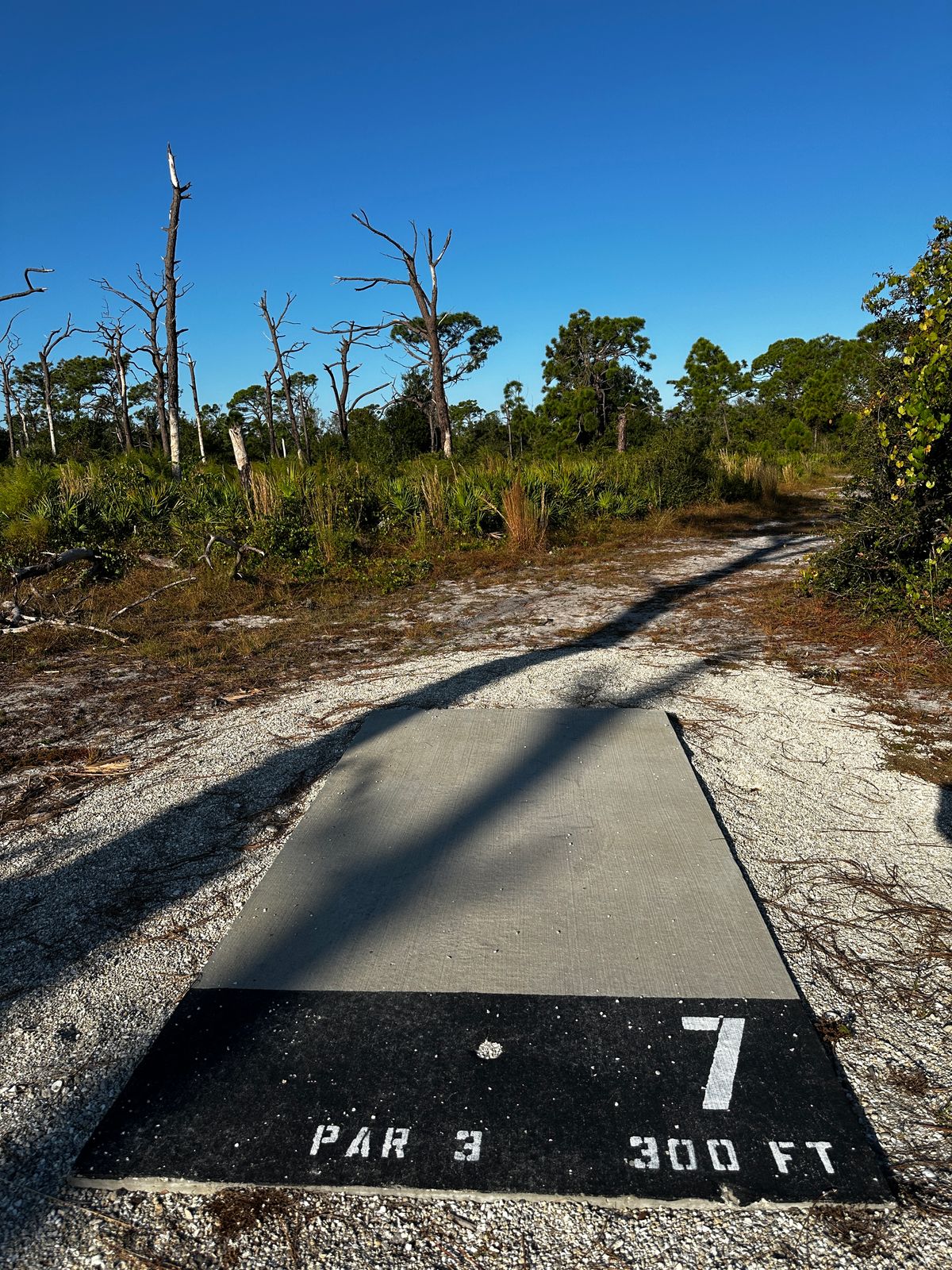 Current tee location 10/2025. 235ft to basket from front of tee