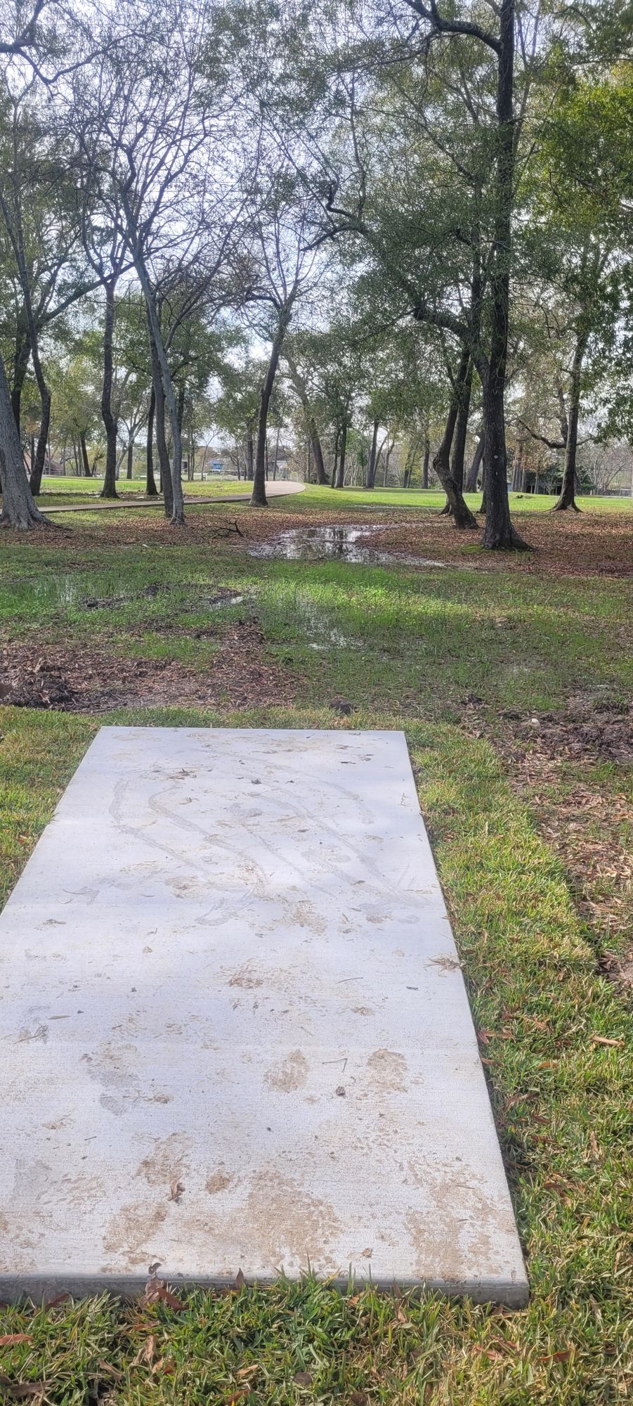 Hole 2's tee pad