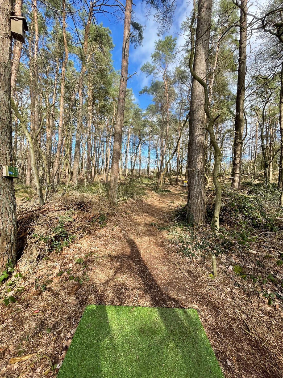 Hole 5