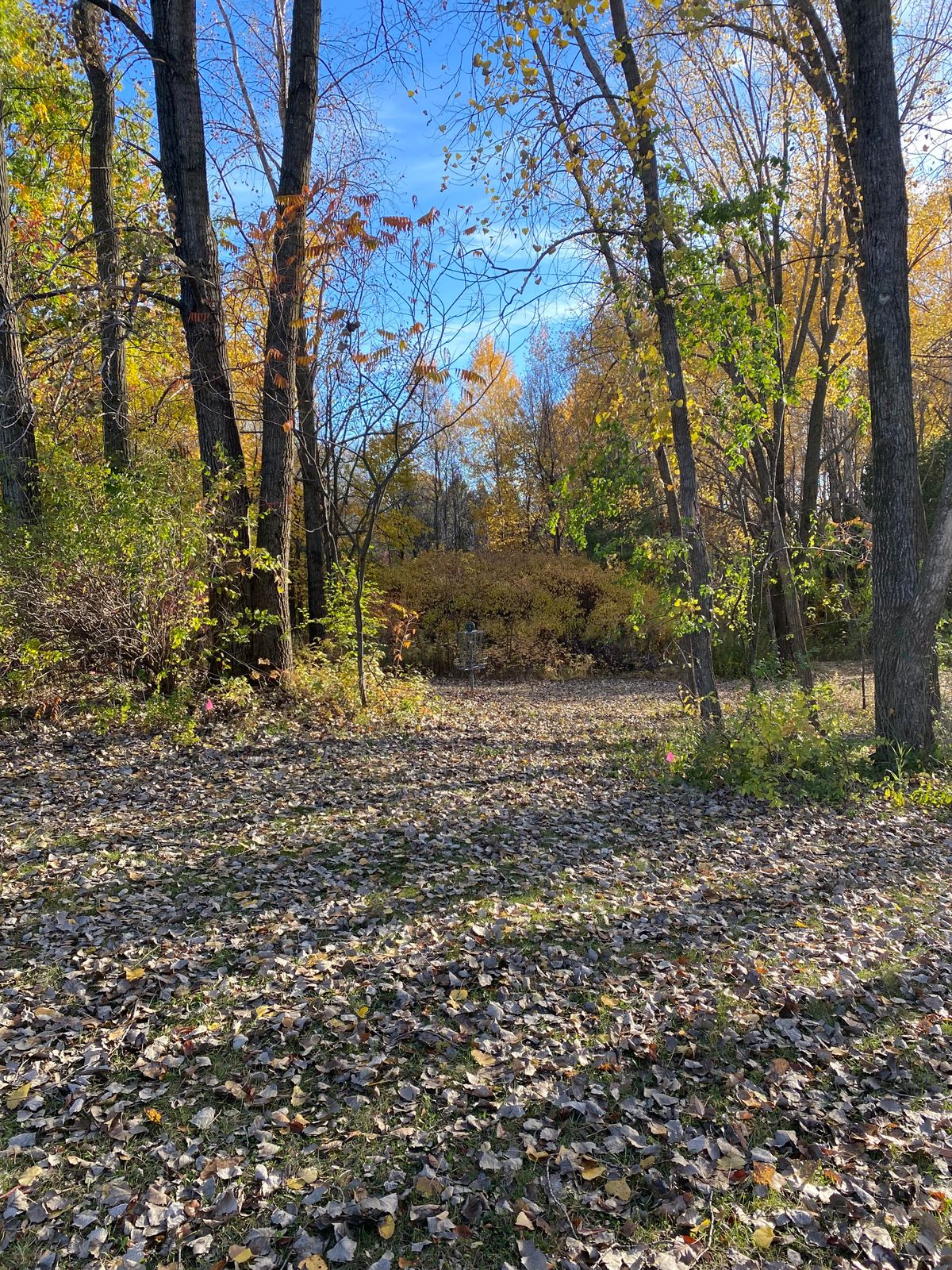 Hole 1 from fairway