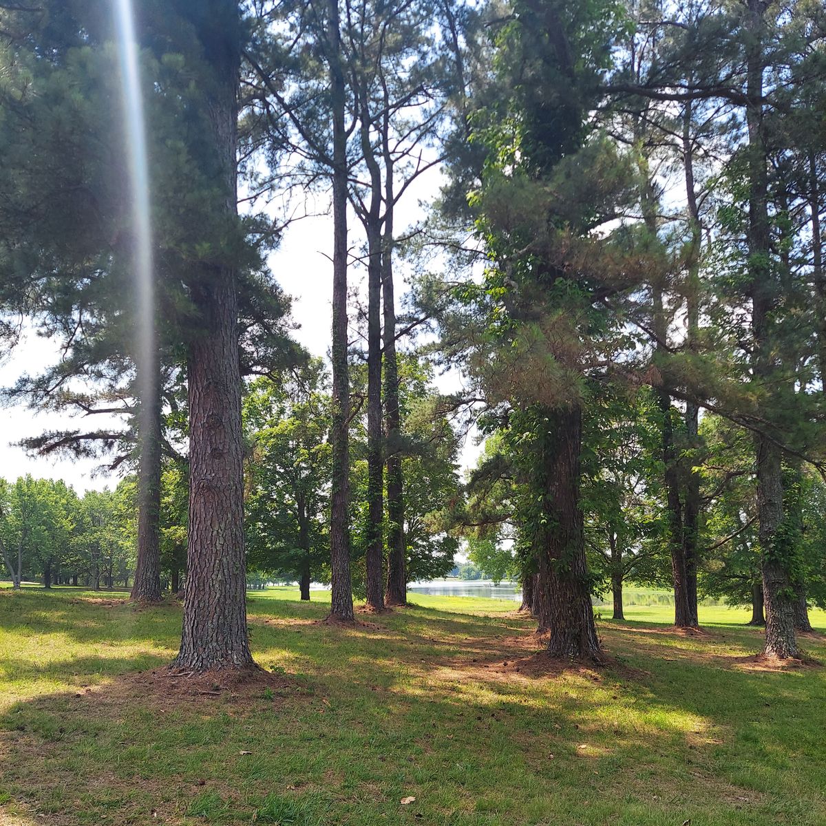 The view from 13's tee.
