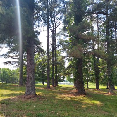 The view from 13's tee.