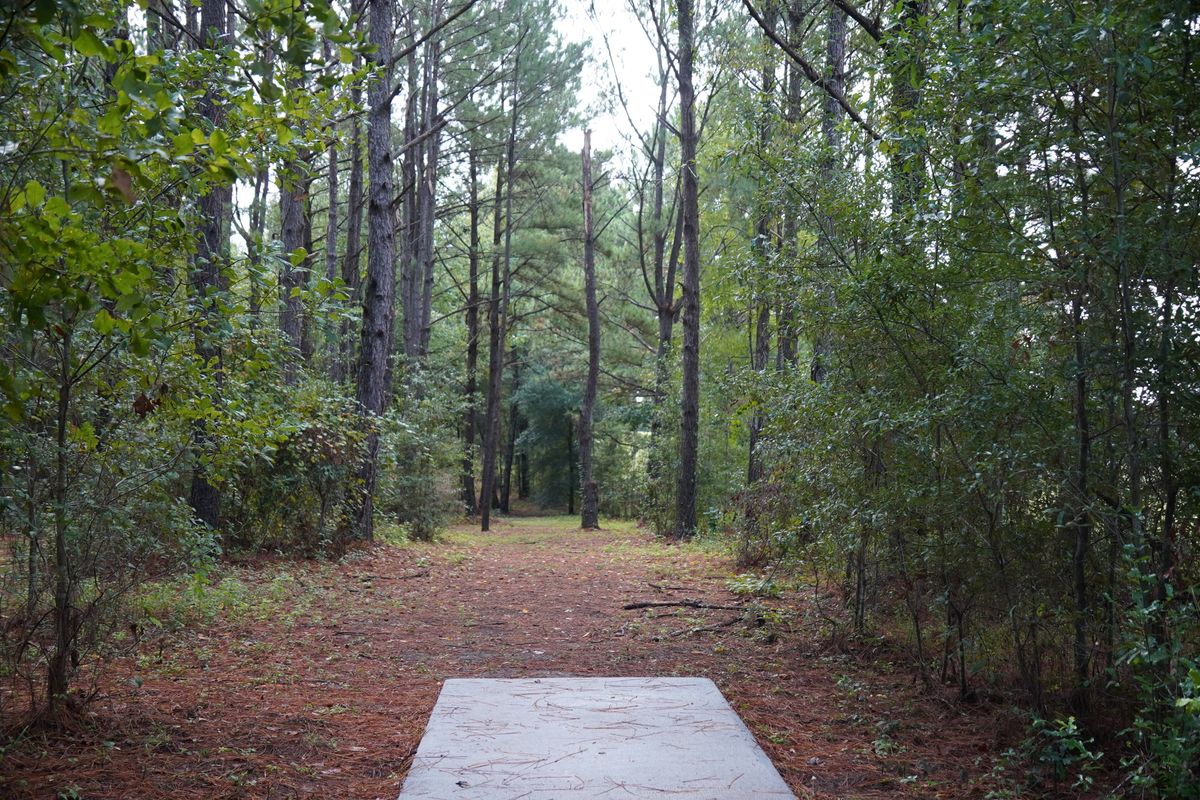 Hole 10