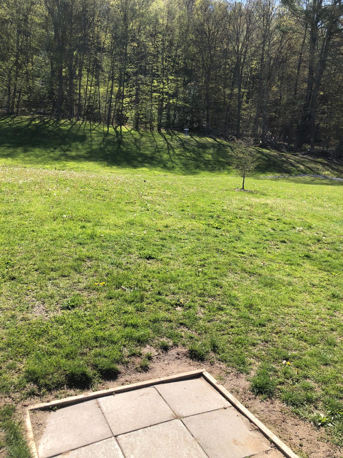 Hole 1