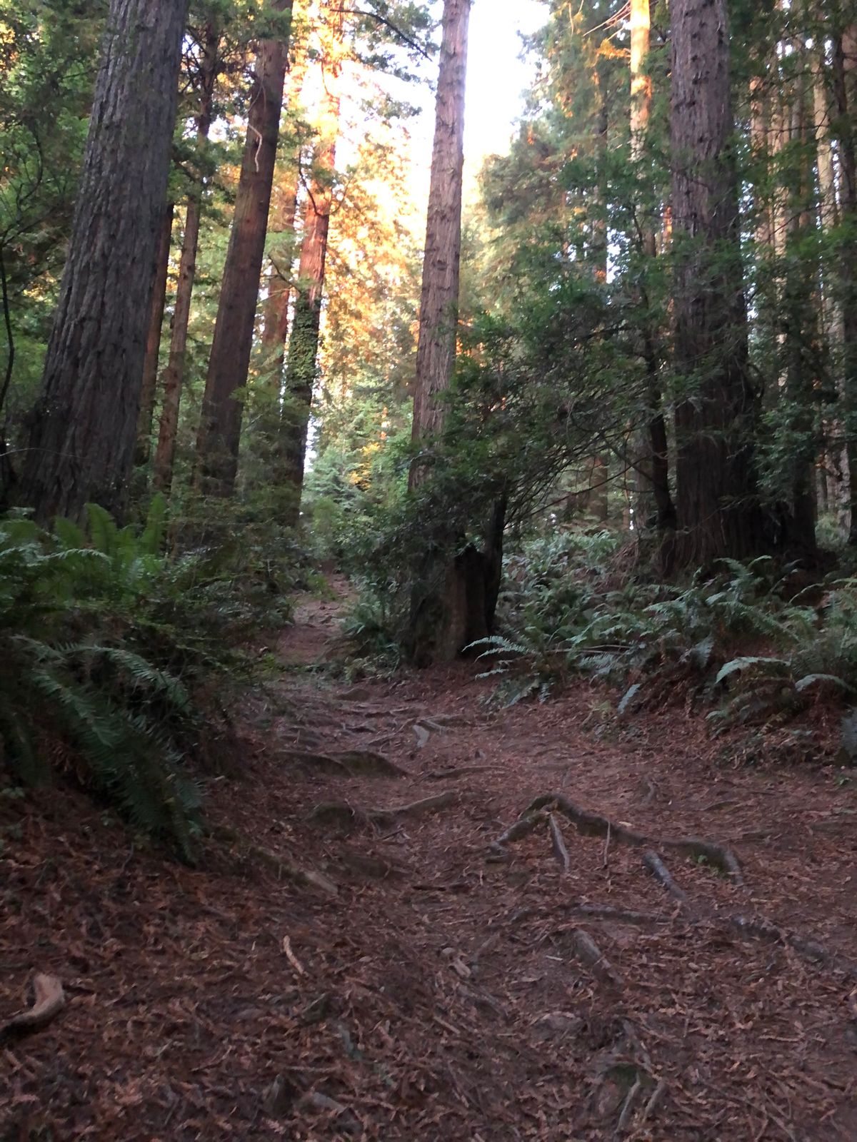 Beautiful view of what you have to walk down from on hole 18’s tee pad