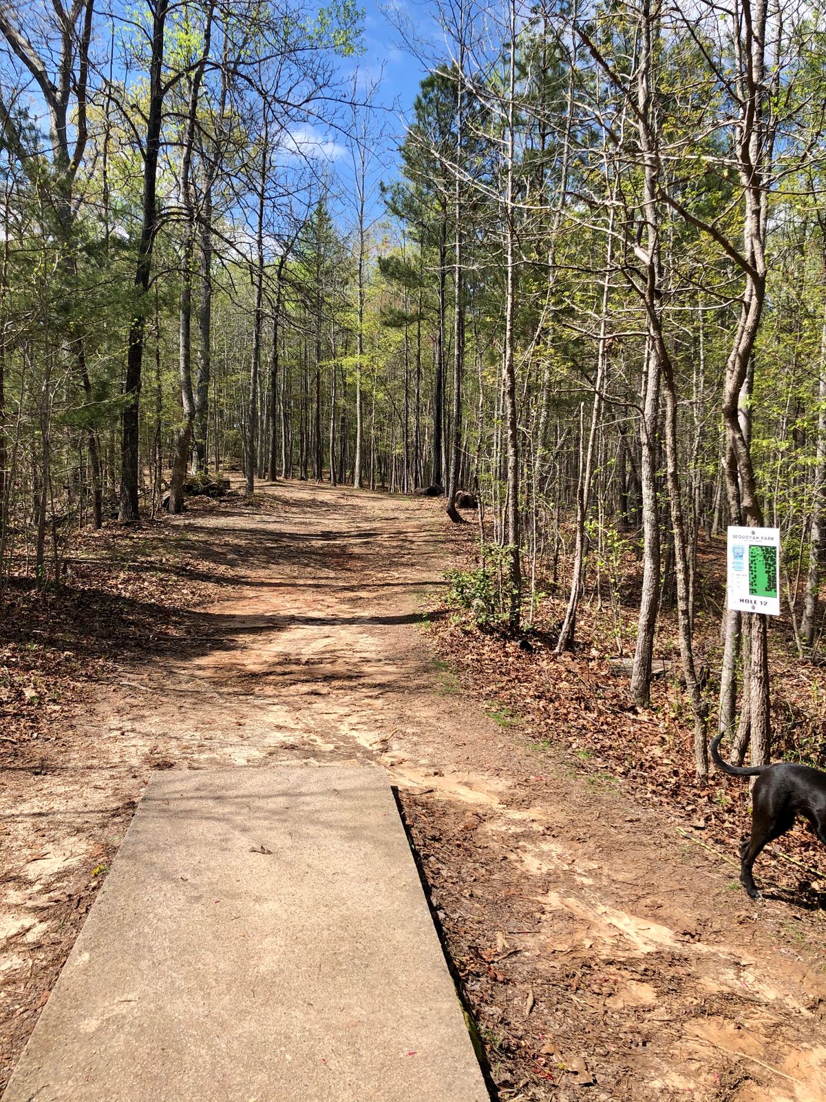 Tee 12