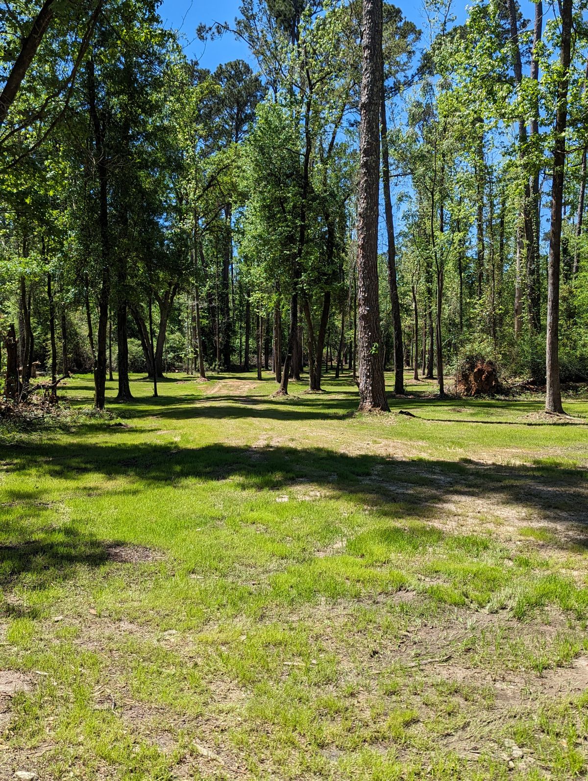 Hole 9 Fairway 1
