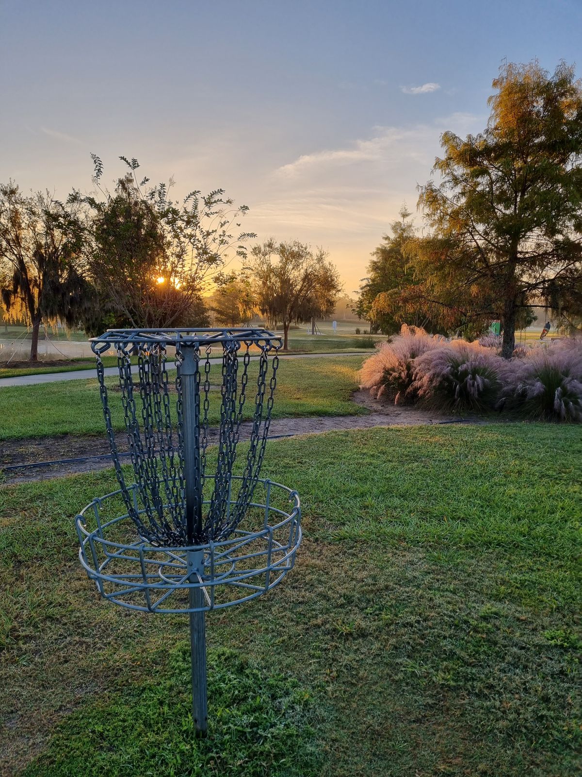 Basket 18 early morning