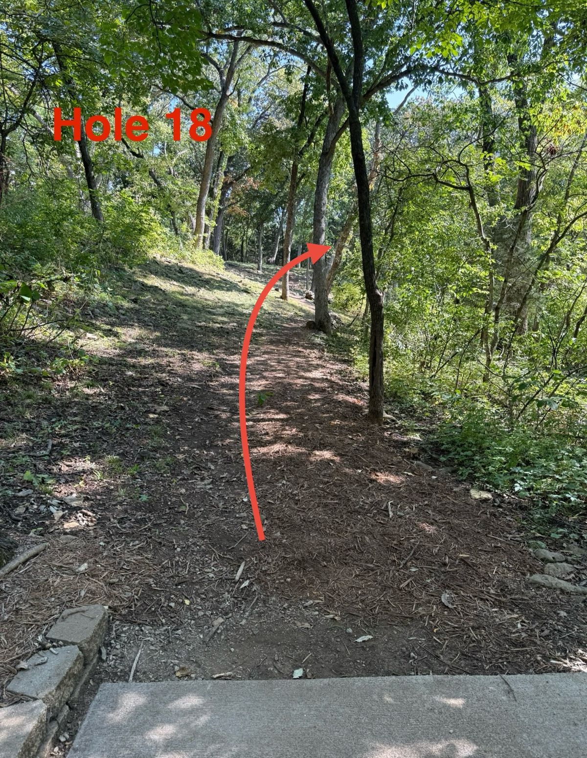 Hole 18 uphill shot long gradual left to right with basket tucked in back right in obstructed LZ