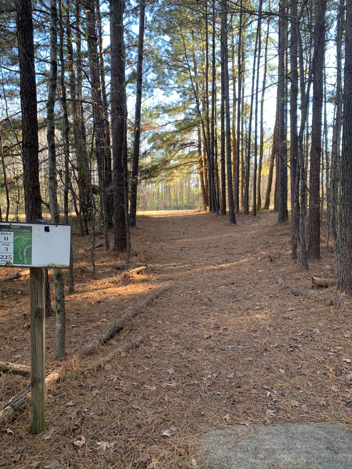 Hole 11