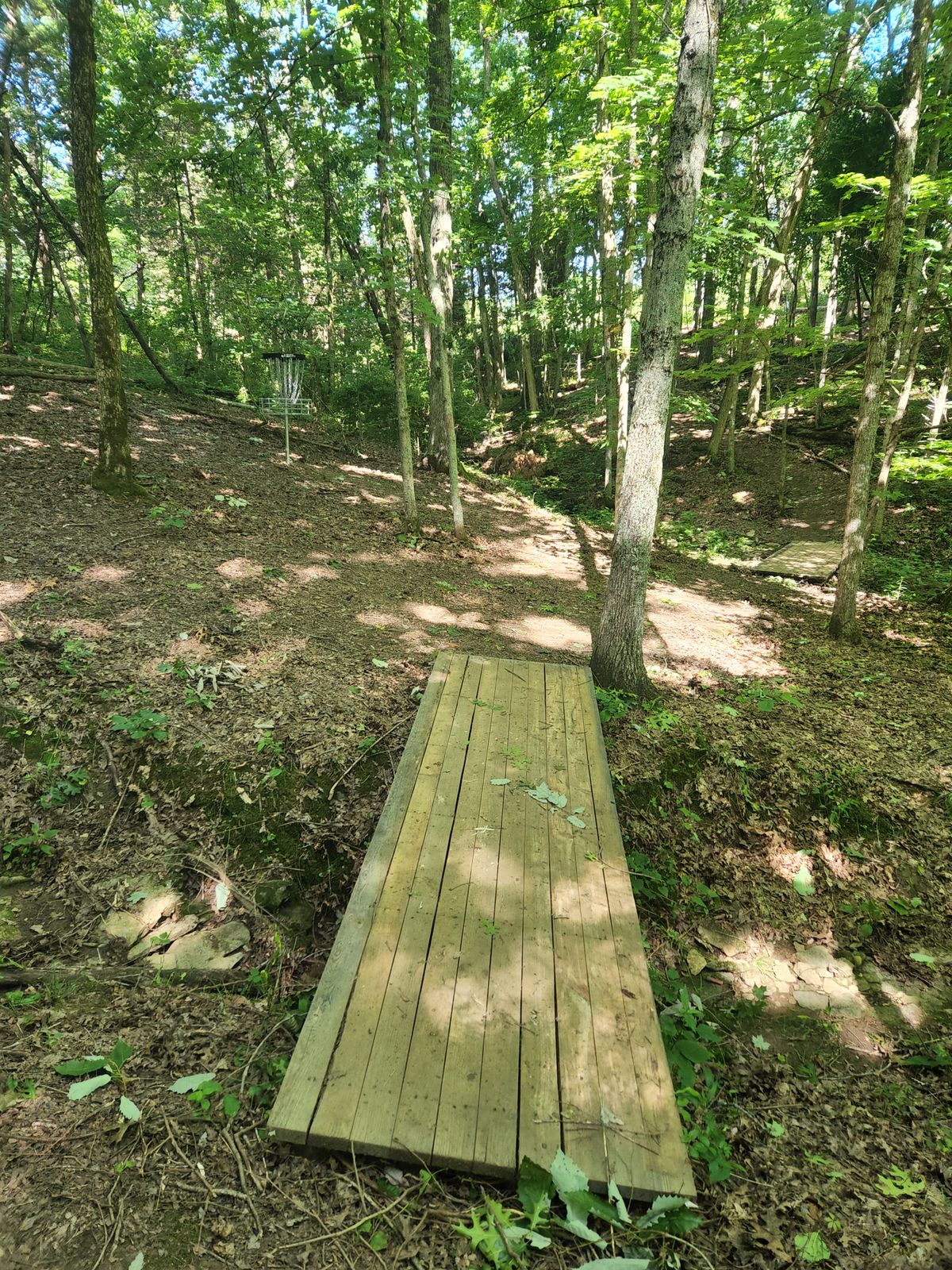 Hole 8 green