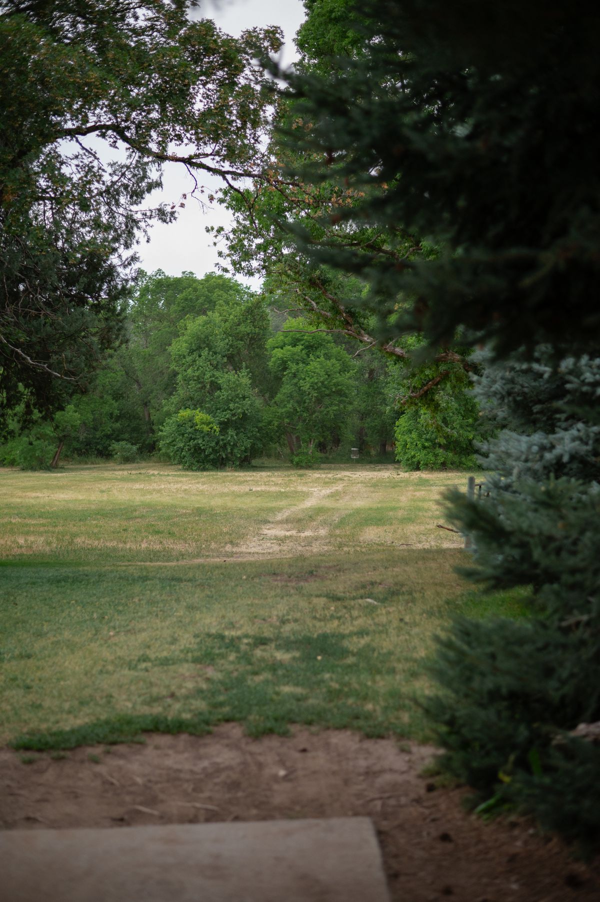 Hole 7 tee pad