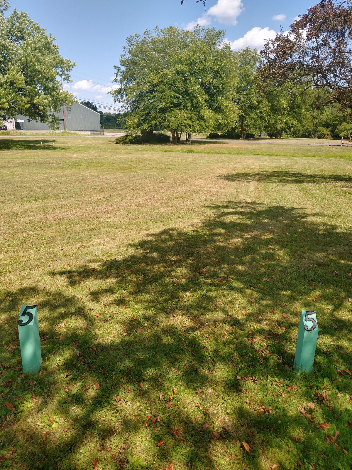 Tee 5