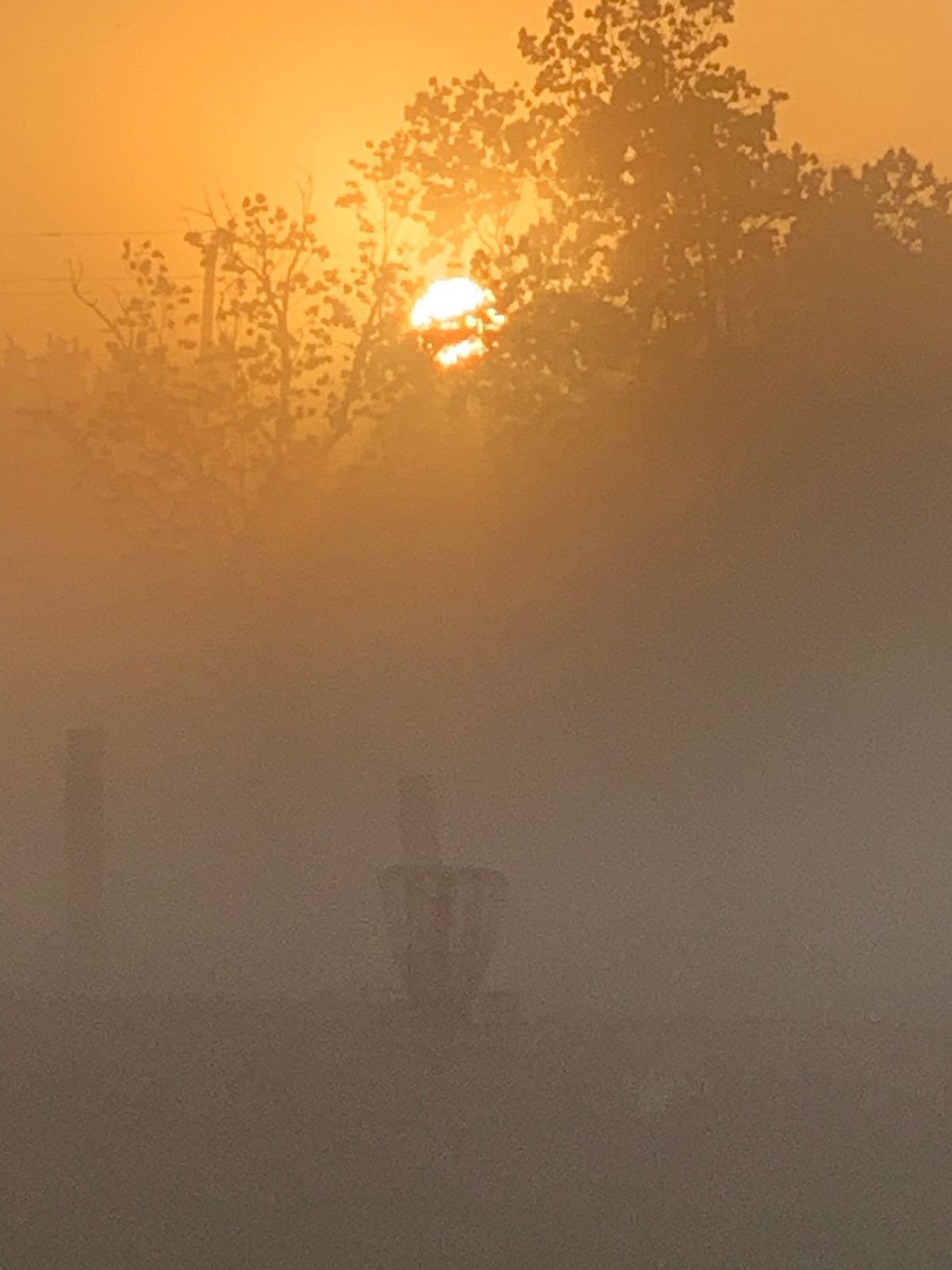Sunrise in fog on Hole #2/11