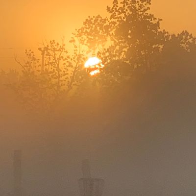Sunrise in fog on Hole #3/13
