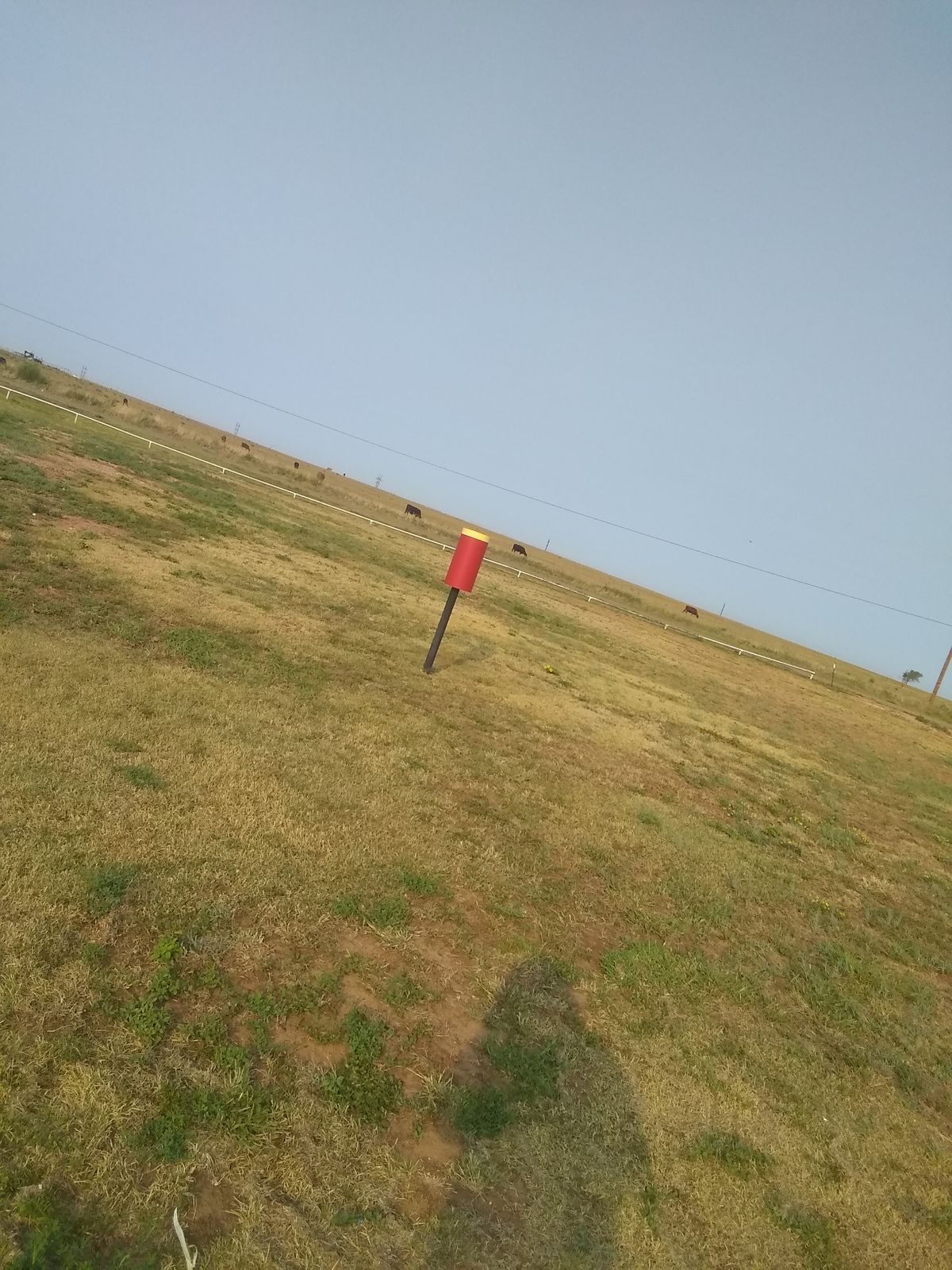 #2 Pole