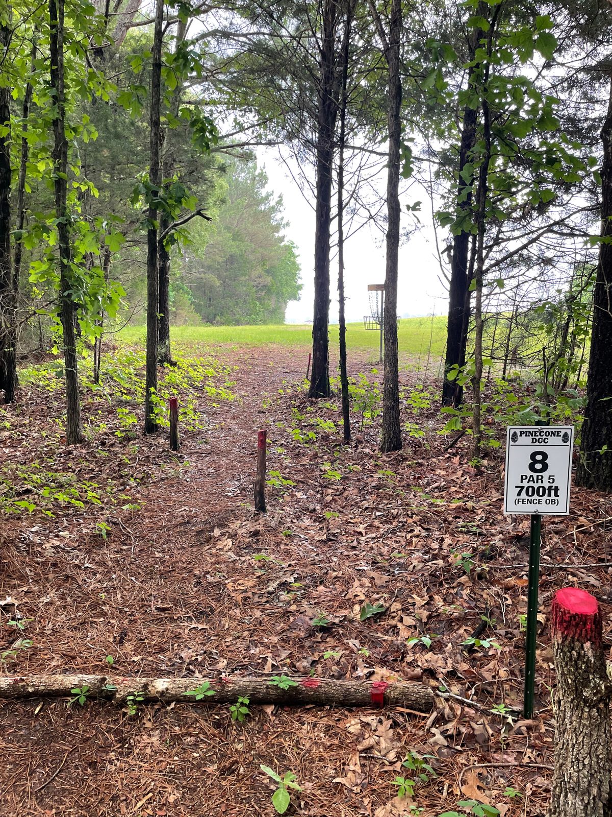 Hole 8