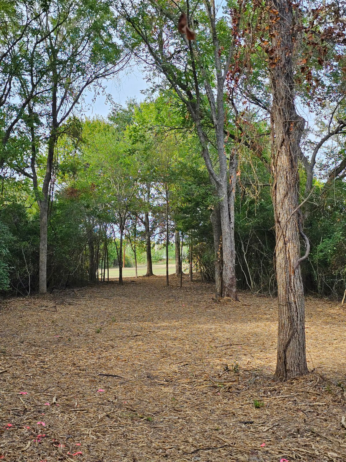 Hole 18 Fairway