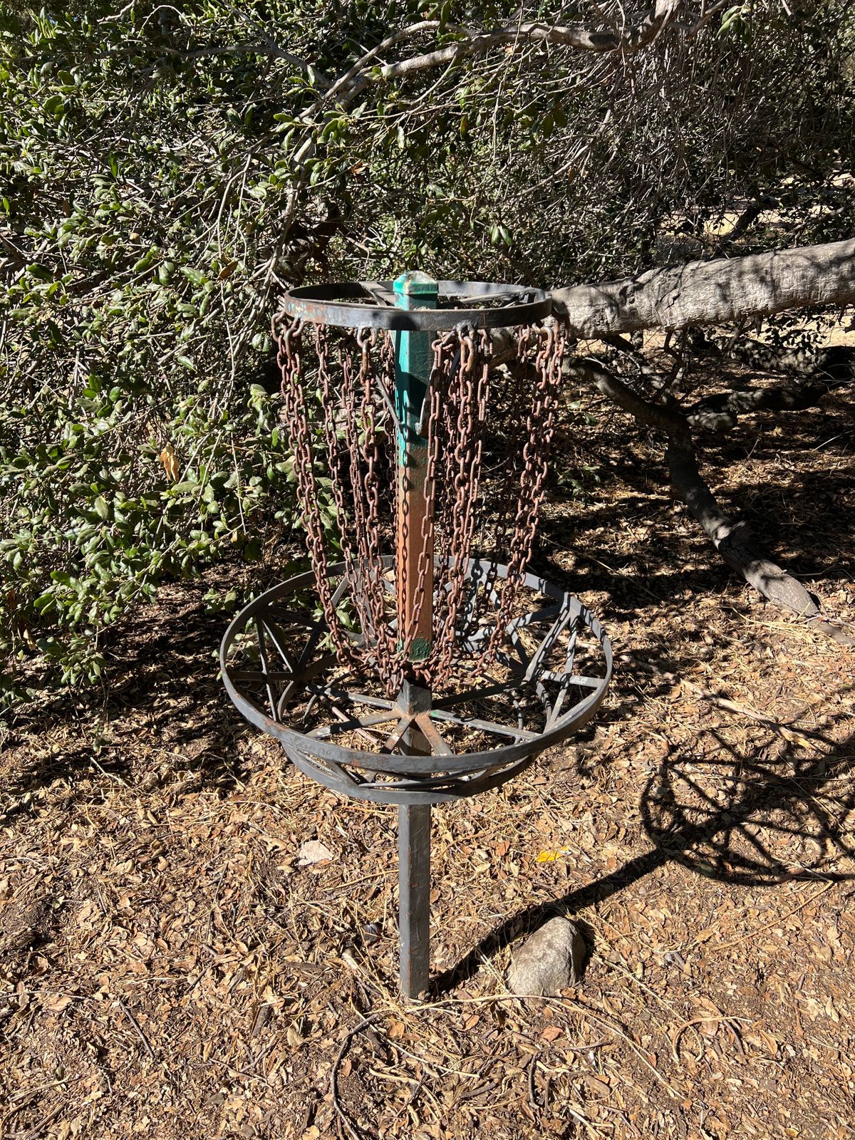 Came across one of the OG first baskets, very cool!!