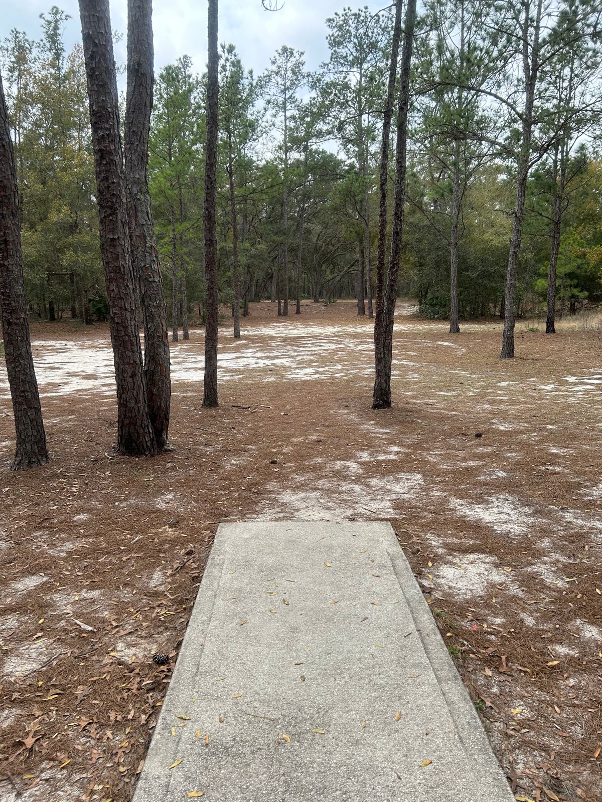 #3 Short Tee