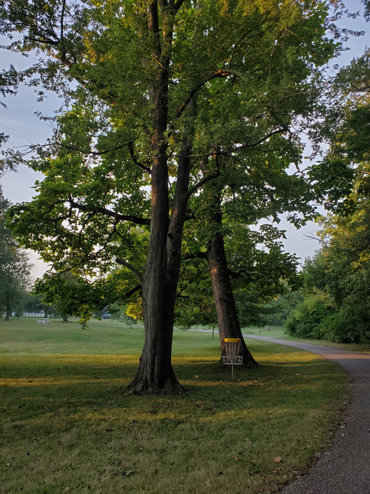 Hole 3 Basket