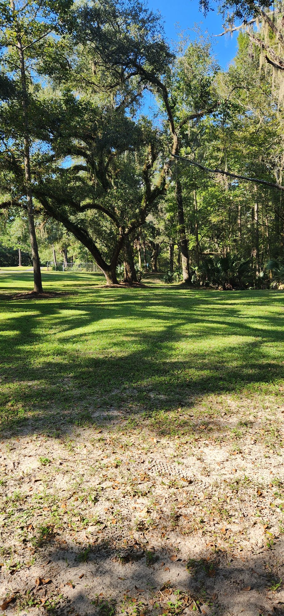 #5 tee pad looking toward the basket