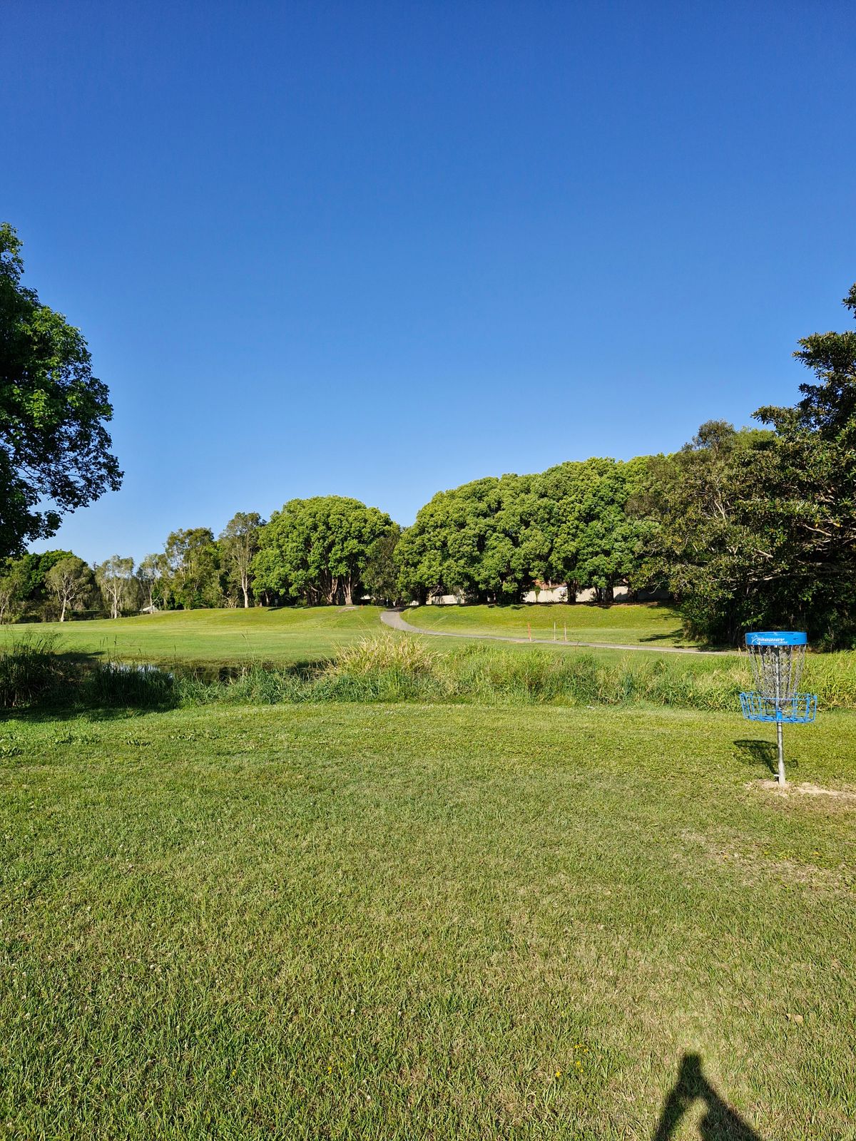 Hole 6