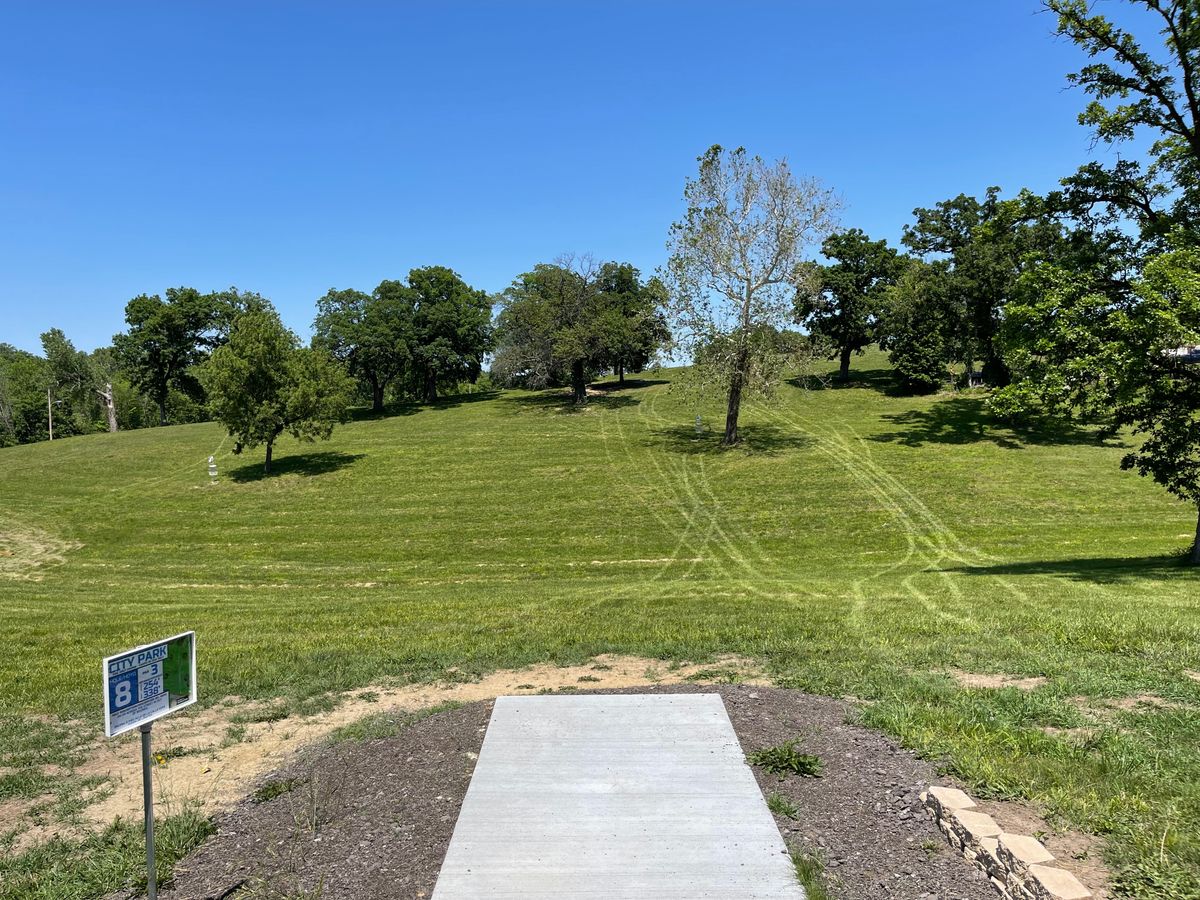 Hole 8 Teepad