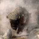 storminbuff