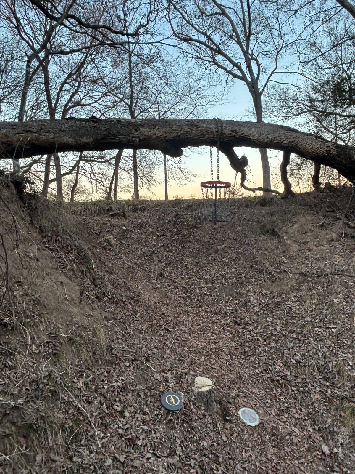 Hole 7 basket